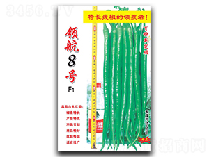 �캽8��-�߽�����-������ҵ