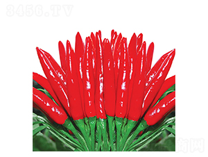 �ؼ�����-���콷����-������ҵ