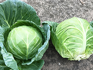 �½�-��������-˳��