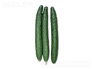 ½��2��-�ƹ�����-˳��