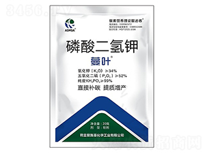 20g��������-��Ҷ-��ʩ��
