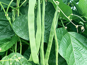 ����818-�ܶ�����-˳��