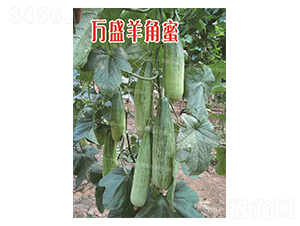 ��ʢ�����-�������-�˶���ʢ
