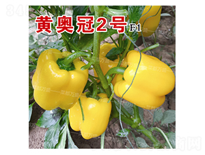 �ư¹�2��-��������-�˶���ʢ