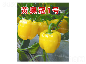 �ư¹�1��-��������-�˶���ʢ