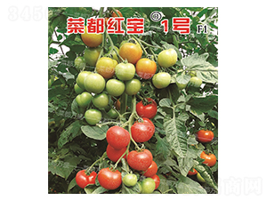 �˶��챦1��-����������-�˶���ʢ