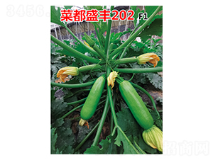 �˶�ʢ��202-����«����-�˶���ʢ