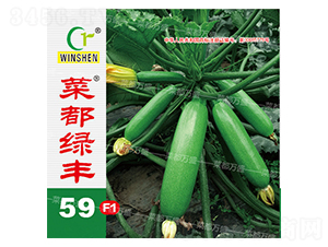 �˶��̷�59-����«����-�˶���ʢ