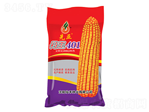 ����401�������-��������-�ɺ���ҵ
