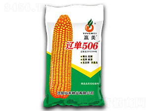 �ɵ�506-��������-�ɺ���ҵ