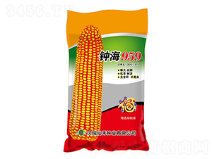 �Ӻ�959�������-��������-�ɺ���ҵ