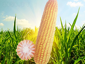 ����71-��������-��Դ��ҵ