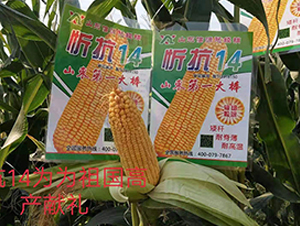 �ÿ�14-��������-��Դ��ҵ