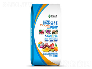 ����ȷ棨����̬����-��ũ����
