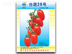 ̨��28-С��������-��֮��