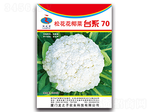 ̨ϵ70-�ɻ�������-��֮��
