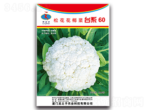 ̨ϵ60-�ɻ�������-��֮��