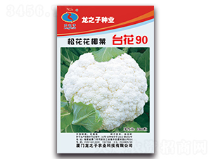 ̨��90-�ɻ�������-��֮��