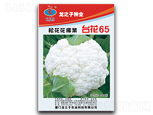 ̨��65-�ɻ�������-��֮��