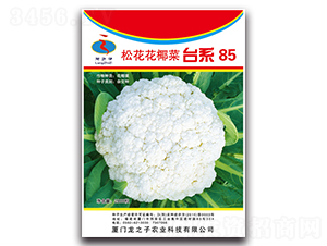 ̨ϵ85-�ɻ�������-��֮��