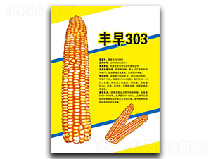 ����303-��������-�����ҵ