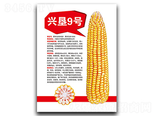 �˿�9��-��������-�����ҵ