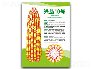 �˿�10��-��������-�����ҵ