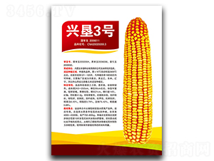 �˿�3��-��������-�����ҵ