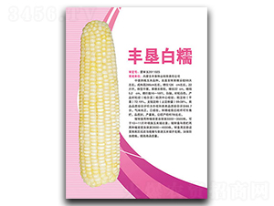 ��Ѱ�Ŵ-Ŵ��������-�����ҵ