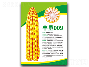 ���009-��������-�����ҵ