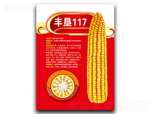 ���117-��������-�����ҵ