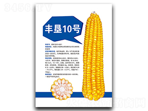 ���10��-��������-�����ҵ