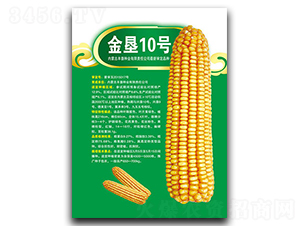 ���10��-��������-�����ҵ