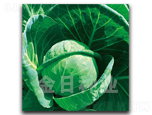 Ũ��528-��������-������ҵ