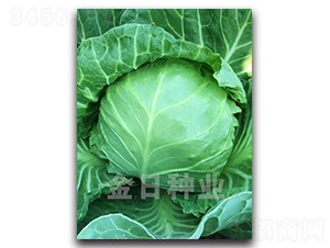 ����105-��������-������ҵ