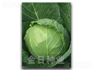 ����103-��������-������ҵ