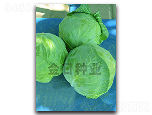 19-11����-��������-������ҵ