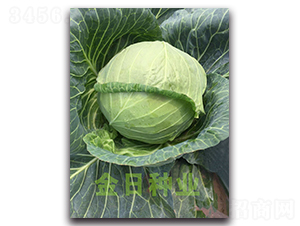 19-15����-��������-������ҵ