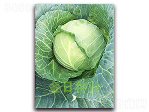 19-14����-��������-������ҵ