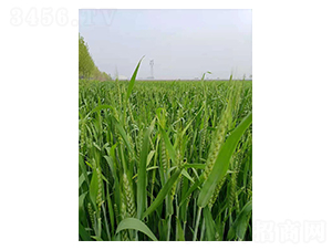 ����669-С������-������ҵ