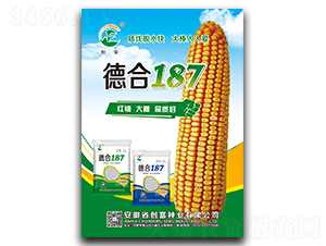 �º�187-��������-������ҵ