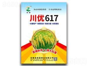 ����617-ˮ������-������ҵ