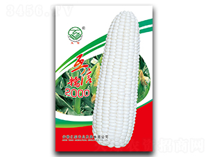 ����Ŵ2000-Ŵ��������-�ں�ũҵ