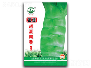 Խ��Ʈ��-ݫ������-�ں�ũҵ