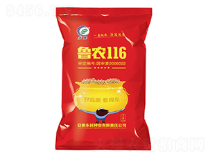 ³ũ116-������-������ҵ