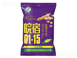 ����01-15���ϴ���-������-������ҵ