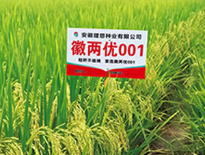 ������001-ˮ������-������ҵ