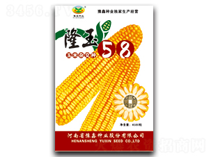 ¡��58-��������-ԥ����ҵ