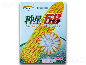 ����58-��������-������ҵ
