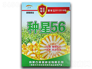 ����56-��������-������ҵ